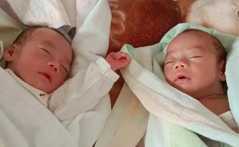 乐安代生宝宝龙凤胎